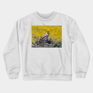 Wild birds, horned lark, wildlife gifts, nature Crewneck Sweatshirt